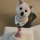 왈왈미용실 이미지