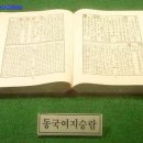 동국지리정보