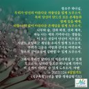 땅살림생명살림