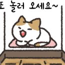 월계정 이미지
