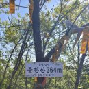 금남정맥 07구간 논산 함박봉(咸朴峰404)250426