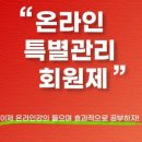 에이스랭귀지어학원 이미지
