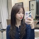 오브르헤어 이미지