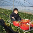 쌍림농장 이미지