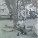 산호동011 이미지