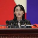 김여정 “의료지원은 연속 광대극…한국 외면·무시할 것 이미지