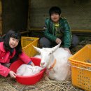 임실사슴농장 이미지