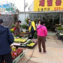 늘사랑화원