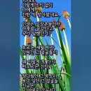 "60년의 독백 한 잔" 이미지