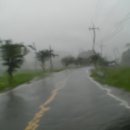 임회면 십일시장 이미지