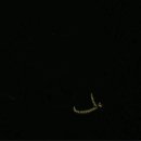 화원유원지 이미지