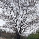 경인여자대학교 | 전산회계1급/전산세무2급 시험장 경인여자대학교 후기(주차팁)