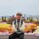 가고파꽃하우스