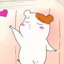 슈닥터