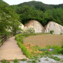 스트로마톨라이트 이미지