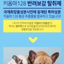 주식회사봉자 | [반려견리뷰] 반려동물 천연 탈취제 키옴마 128 반려보감 탈취제 솔직사용후기!