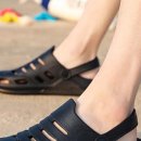 아쿠아 프랜즈 이미지