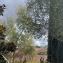 미라농장 이미지