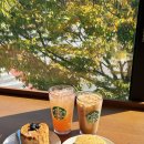 신창동 행정복지센터 2층 중회의실 | 스타벅스 광주신창점 가오픈 초대 다녀왔어요-크리스마스 MD까지 미리 만난 신상카페 후기