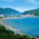 파라다이스 이미지