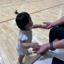 고양시 덕양구 삼송 신원배드민턴클럽 실내배드민턴장 이용 후기 (돌아기 입장가능)