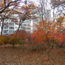 효민공 이경직 묘역 이미지