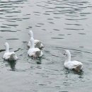 고은빛치과의원 | 송파/잠실 : 송파 고은빛 산부인과 생생한 출산후기 1탄