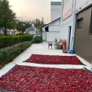 신영다방