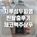 내돈내산 지루성 피부염 탈출하는 법 체코맥주샴푸, 마누팍투라 실제사용후기