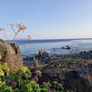 신천목장 이미지