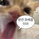 정성닭발 양덕점 이미지