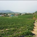 노성주유소 이미지