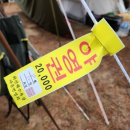 [포항 캠핑] 화진해수욕장 마을 번영회 야영장