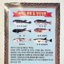 공단송림복어 이미지