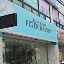 울산피터래빗 이미지