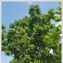 귀산 농장 이미지