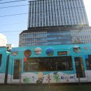 섬과 하루 | 사쿠라지마 여행 완벽 가이드-섬 한바퀴 돌고 온 후기