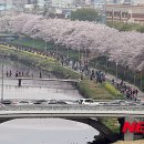 온천천일대3 이미지