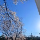 용산-254 | 서울 용산 후암동 맛집, [타케모토] 덮밥 후기 (일식 돈토로 맛집)
