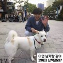 강아지산책 이미지