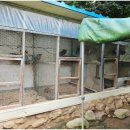 진소농장 이미지