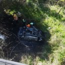 산록남로 이미지