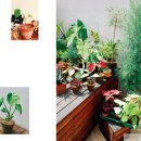 초록초록 가드닝 이미지