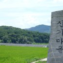 남원 진기리 느티나무 이미지