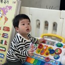 이레베이킹