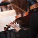 2024 시네마 클래식 「꽃피는 봄이 오면」 이미지