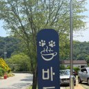 세종주택관리주식회사 | 세종 애견카페 '바투' ㅣ 대형견 소형견 분리되어 있는 1500평 애견카페 후기