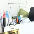 정수 미용실 | 탄방동미용실 정수깅 두피클리닉 후기