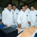 대행농장 이미지