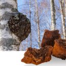 바이칼허브 이미지